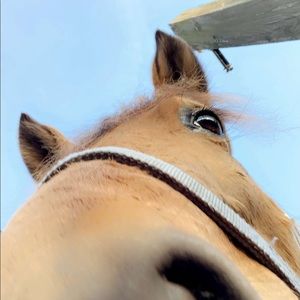 Meet your Posher, Angela